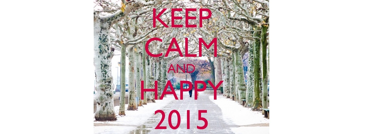 Bonne Année 2015 :)